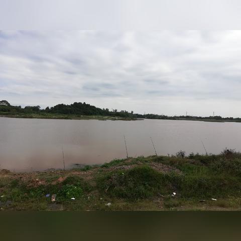 南宁市鲤鱼钓场怎么样啊
