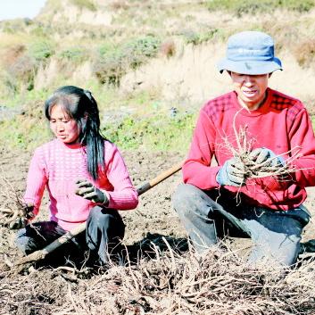 岷县至十里路加宽吗？