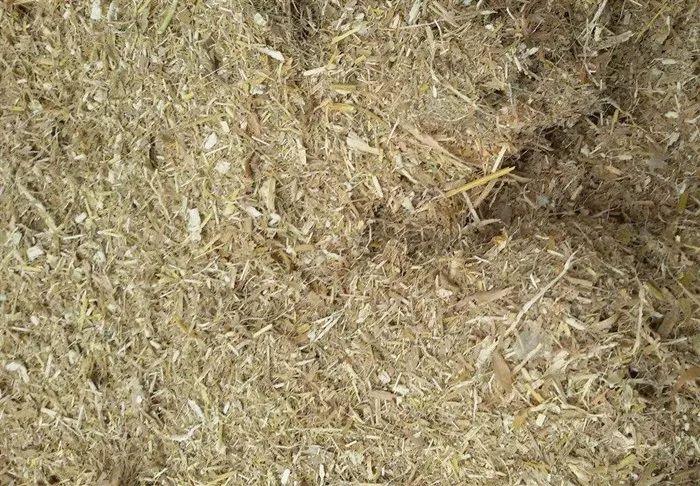 稻米学术论文是如何在茫茫沙漠中寻找到水源的