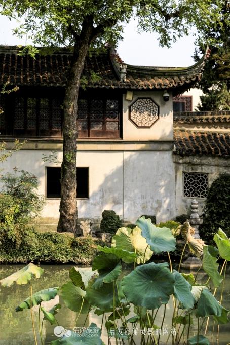 苏州的留园好玩吗？嗯，有猫