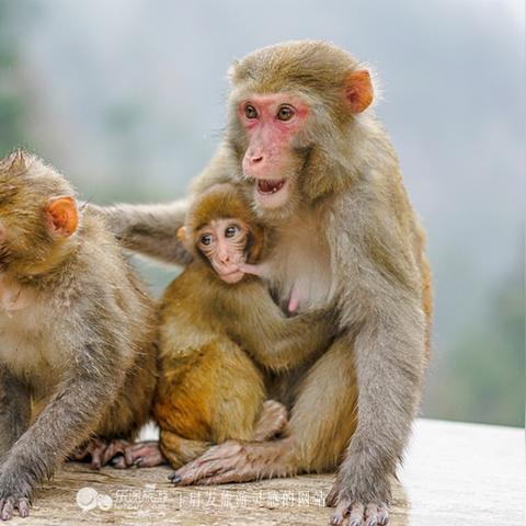 温州市疤痕医院的长尾关键词有什么