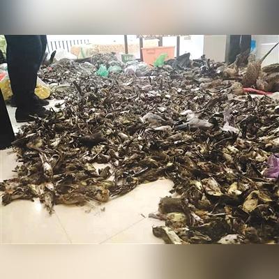 哈尔滨市特产店在哪里啊