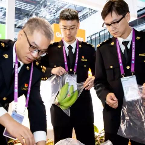 跨境化妆品批发点在哪里