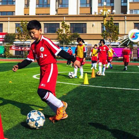 枣强县教育局网站的长尾关键词有哪些