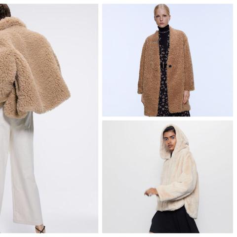 武汉家养泰迪熊的长尾关键词有哪些