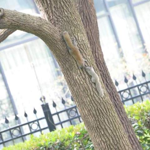 河北省保定市曲阳县英文的长尾关键词有哪些