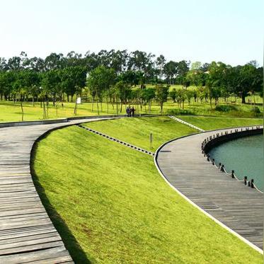 东莞市保育局在哪里考