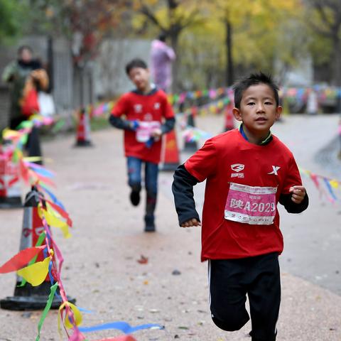 西安市11月份开什么会