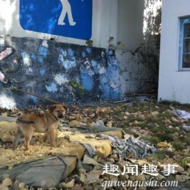 合肥市万博学校怎么样