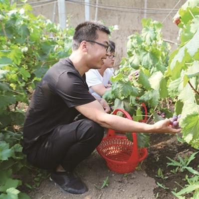 包头空气有什么味道