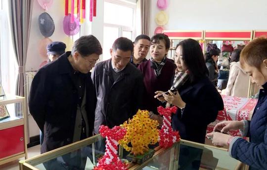 友成基金会.摩根大通乡村女性赋能计划项目在我县启动