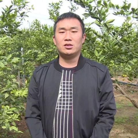 武汉市副镇长是什么级
