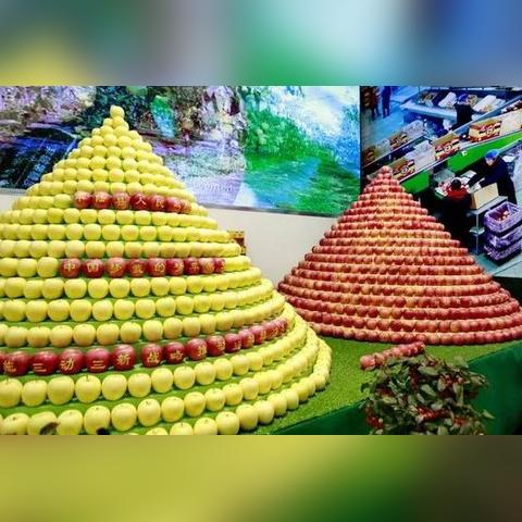 长沙市企业服务中心怎么样