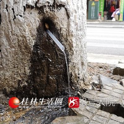 桂林街头发生燃气泄漏，气体不断冲出井盖，已紧急封路停电, 你怎么看？