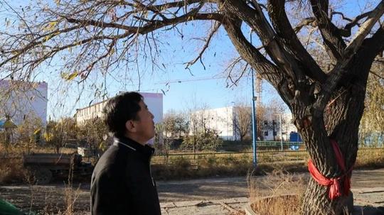 山能新矿伊犁能源：一张老照片背后的创业故事