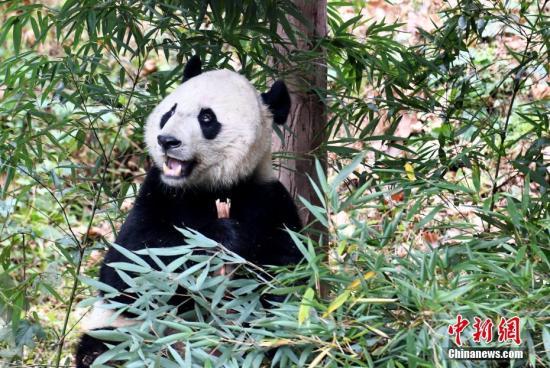 安源区有什么美食（江西省萍乡市有哪些必玩的景点）