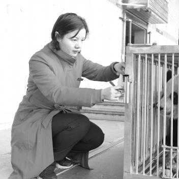 长沙大熊猫相关长尾关键词有哪些