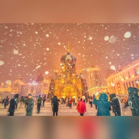 2019深圳接待游客量？