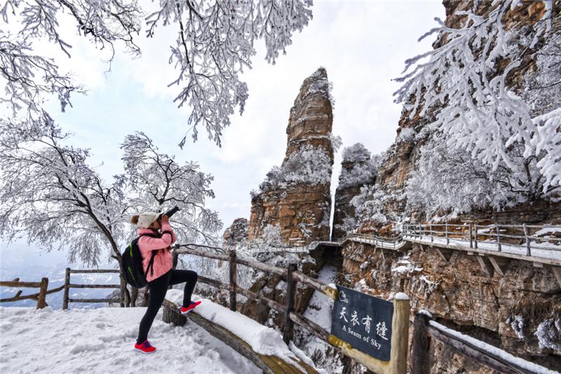 【31省新增本土确诊135例
 ,31省新增本土确诊135例:河北90例】