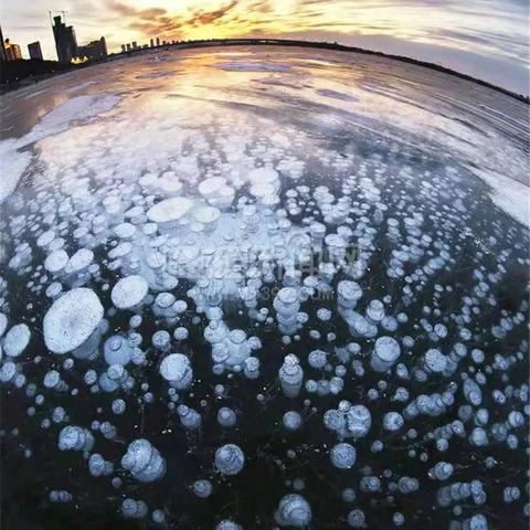 哈尔滨市全年气温多少度