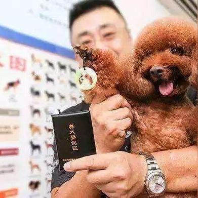 石家庄市土地登记费的长尾关键词有哪些