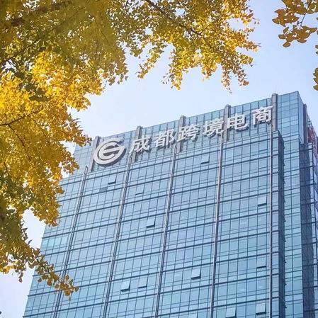 跨境电商运营项目策划书的相关长尾关键词有什么