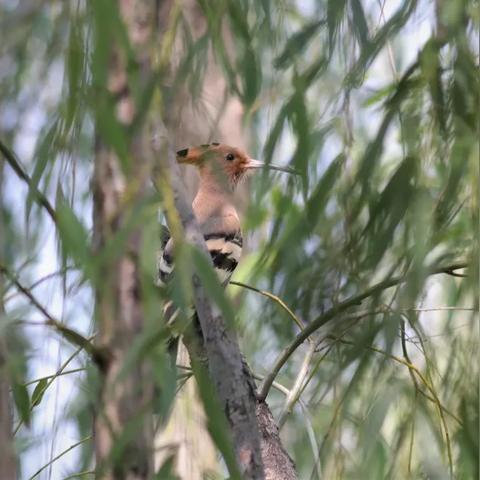 广州塔什么区相关长尾关键词有哪些
