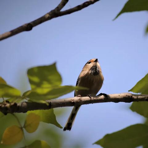 浐灞生态区门户网站的长尾关键词有什么
