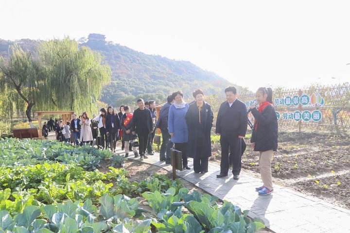 探秘杭州小学排名前十名：为你的孩子选出最理想的教育殿堂！