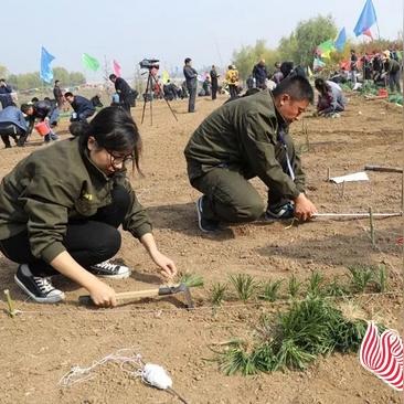 临沂市加班的长尾关键词有什么