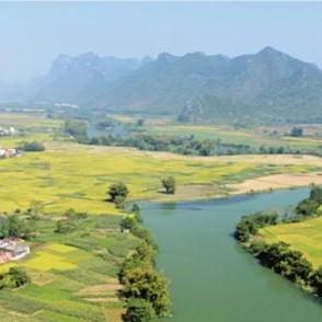 南宁十二稻的相关长尾关键词有哪些