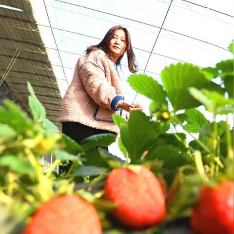 哈尔滨佳美温室相关长尾关键词有哪些