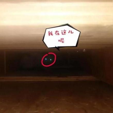 跨境汇款怎么拦截成功