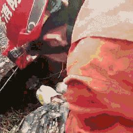 无锡市哪里买狗狗好