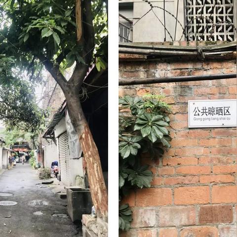 成都市杂货店有哪些店面