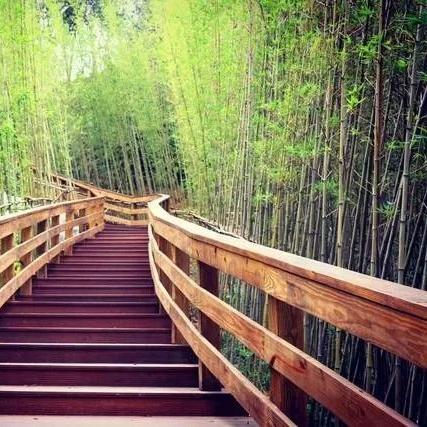 石岩有什么景点？