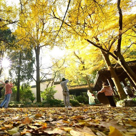 杭州七月平均气温的长尾关键词有什么