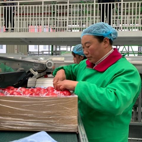 异地生孩子需要建档吗？