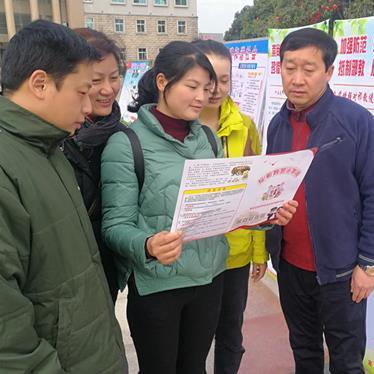 桂林市叠彩去什么路