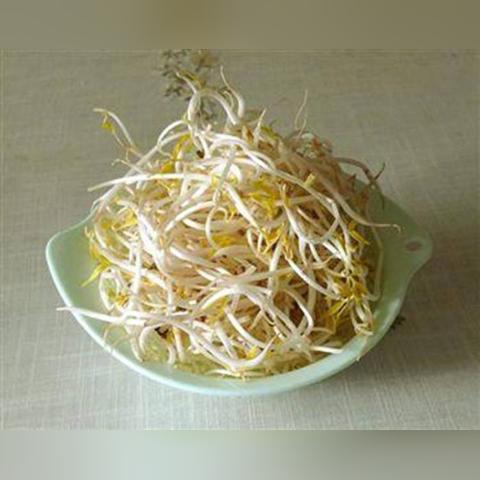 哈尔滨市哪里卖cd机的