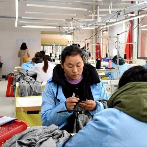 杭州市余杭区都有什么厂