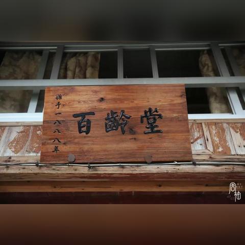 什么植株适合福建冬天？
