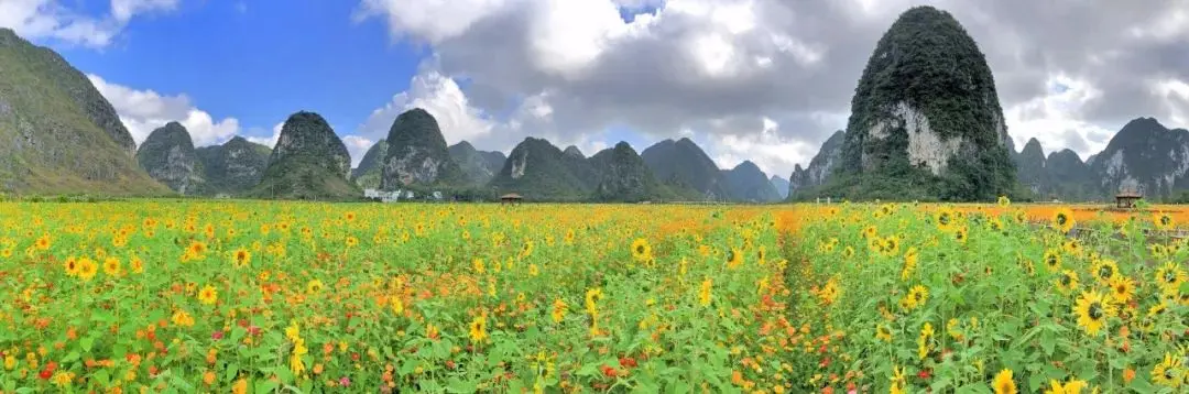 微博打榜怎么打 微博怎么打备注