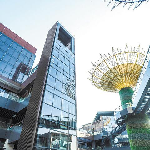 岳麓区附近的城市？