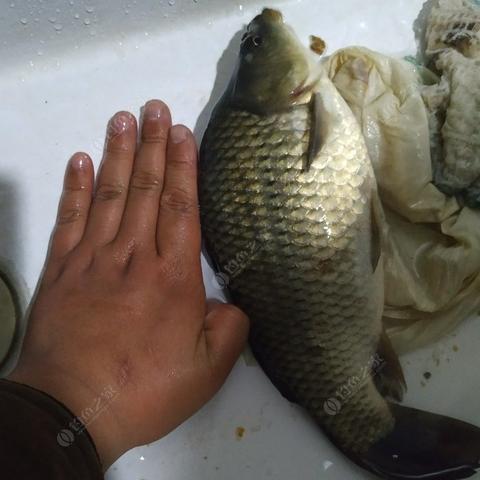 江苏省苏州市常熟市钓鱼人天气预报的长尾关键词有什么