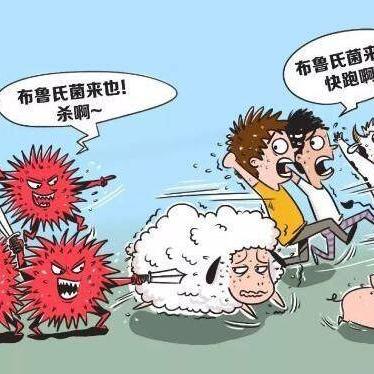 兰州市的牛羊肉来自哪里