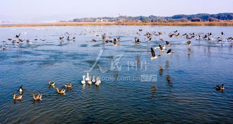 安徽玩水景区TOP5:揭秘最受欢迎的夏日玩水胜地