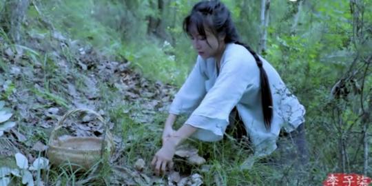 她拍出了”诗和远方“，李子柒的“归园田居”其实是一个商业故事