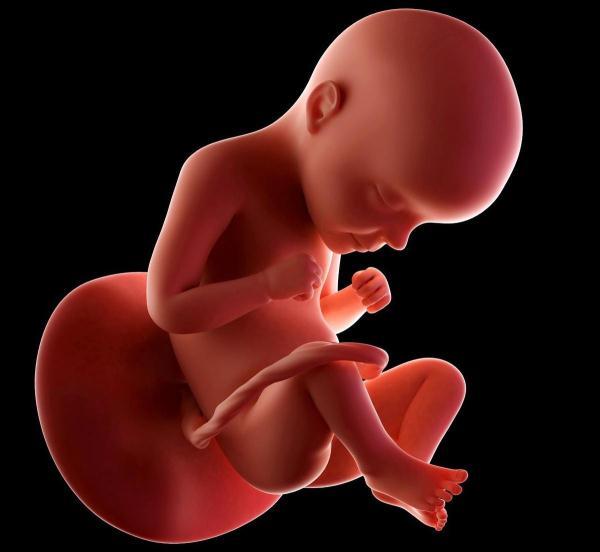 怀孕后哪些坏习惯容易造成胎儿脐带绕颈