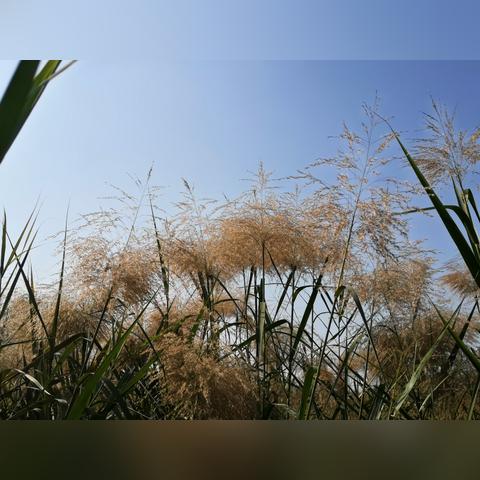 长沙市哪个区有湖